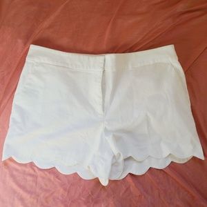 LOFT Scalloped Riviera Shorts